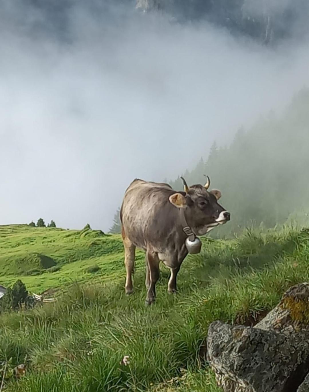 Luxus Nina Mit Zirbenhuette * Ramsau im Zillertal